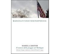 Il rumore della pioggia nel Michigan - Griffor Mariela