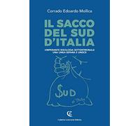 Il sacco del sud d'Italia. L'imperante ideologia settentrionale. Una linea separa e unisce