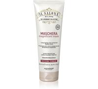 Il Salone Milano Magnificant Maschera 250 ml - Maschera capelli