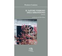 Il sapore ferroso dell'abbandono. Ediz. illustrata