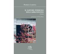 Il sapore ferroso dell'abbandono. Ediz. illustrata