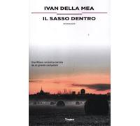 Il sasso dentro