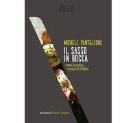 Il sasso in bocca. Come la mafia conquistò l'Italia - Pantaleone Michele