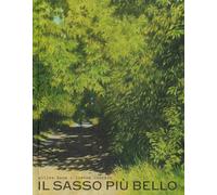 Il sasso più bello. Ediz. a colori