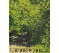 Il sasso più bello. Ediz. a colori