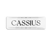 Il segno di plastica acrilico Cassius Signlong durevole con il doppio ha parteggiato il nastro 9X3 pollici