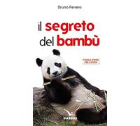 Il segreto del bambù