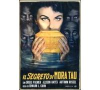 Il Segreto Di Mora Tau (DVD) Palmer Hayes