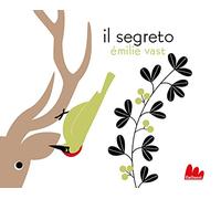 Il segreto. Ediz. a colori