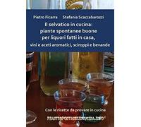 Il selvatico in cucina: piante spontanee buone per liquori fatti in casa, vini e aceti aromatici, sciroppi e bevande