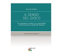 Il senso del gioco. Tra competizione, vertigine, caso e responsabilità: la sfida del giocatore e quella delle istituzioni