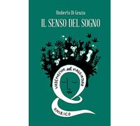 Il senso del sogno. Vademecum del viaggiatore onirico