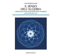 Il senso dell'algebra. L'origine del linguaggio scientifico universale