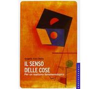 Il senso delle cose. Per un realismo fenomenologico