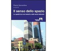 Il senso dello spazio. Lo spatial turn nei metodi e nelle teorie letterarie