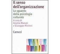 Il senso dell'organizzazione. Lo sguardo della psicologia culturale