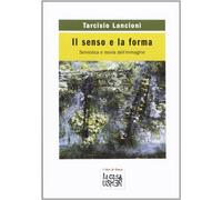 Il senso e la forma. Semiotica e teoria dell'immagine
