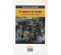 Il senso e la forma. Semiotica e teoria dell'immagine