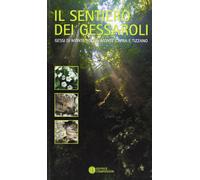 Il sentiero dei Gessaroli. Gessi di Monte Rocca, Monte Capra e Tizzano. Ediz. illustrata