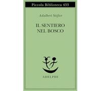 Il sentiero nel bosco