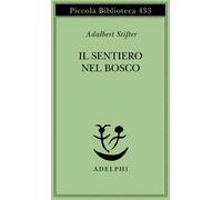 Il sentiero nel bosco