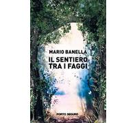 Il sentiero tra i faggi