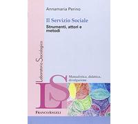 Il servizio sociale. Strumenti, attori e metodi