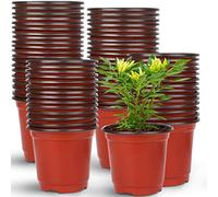 Il set di vasi per piante Augshy include 150 pezzi di vaschette per piante con un diametro di 10 cm, perfetti per la crescita di piante grasse, seedlings e talee.