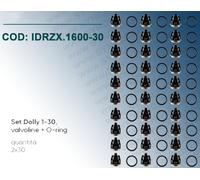 Il SET DOLLY 1-30 IDROBASE valido per pompe SERIE 47-48 Ø20 (Interpump) compost