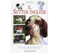 Il Setter Inglese