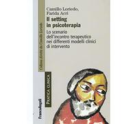 Il setting in psicoterapia. Lo scenario dell'incontro terapeutico nei differenti modelli clinici di intervento
