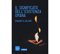 Il significato dell'esistenza umana