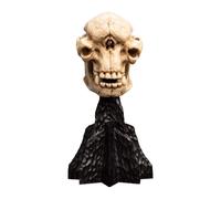 Weta Signore degli anelli Mini Statua Skull of a Cave Troll 21 cm