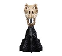 Il Signore degli Anelli Teschio di una Bestia Caduta in Miniatura