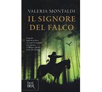 Il signore del falco