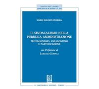 Il sindacalismo nella pubblica amministrazione. Protagonismo, antagonismo ...