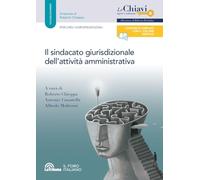 IL SINDACATO GIURISDIZIONALE SULL'ATTIVITA' AMMINISTRATIVA - CASSATELLA A.