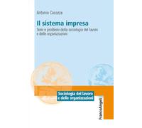 Il sistema impresa. Temi e problemi della sociologia del lavoro e delle organizzazioni