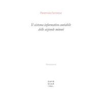 Il sistema informativo-contabile delle aziende minori