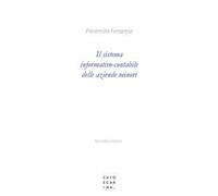 Il sistema informativo-contabile delle aziende minori
