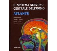 Il sistema nervoso centrale dell'uomo. Atlante