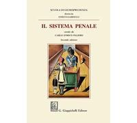 Il sistema penale