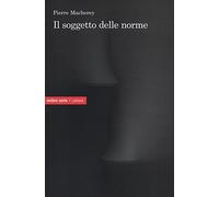 Il soggetto delle norme
