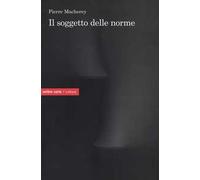 Il soggetto delle norme