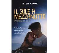 Il sole a mezzanotte. Midnight sun