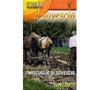il sovescio miscuglio di sovescio in confezione da 1 kg