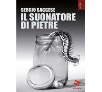 Il suonatore di pietre