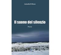 Il suono del silenzio
