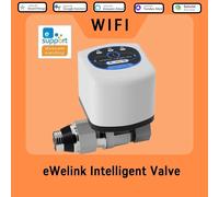 Il telecomando dell'app eWelink WIFi valvola intelligente DN15/DN20/DN25 funziona con Salutel/Alex/Alice/Assistente Google/Cose intelligenti