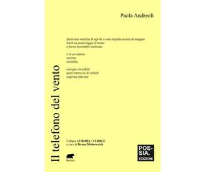 Il telefono del vento - Andreoli Paola